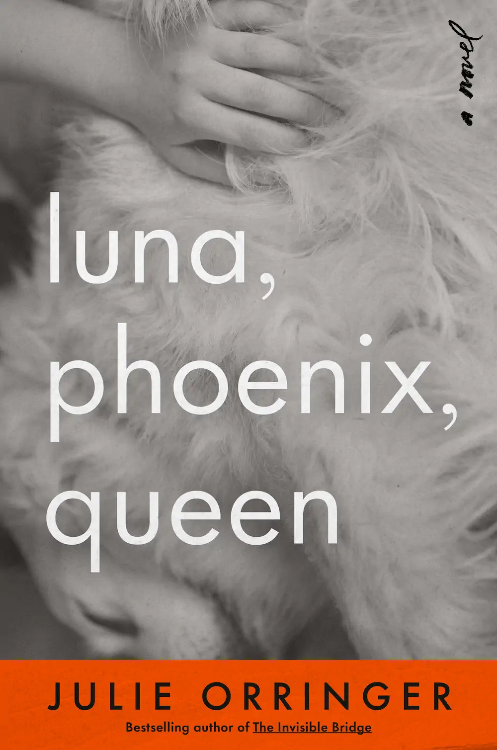 Luna phoenix queen cover US